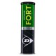 Lauko teniso kamuoliukai DUNLOP FORT ALL COURT 4 v..