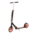Paspirtukas ADVENTURE RAPTOR PRO 200