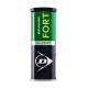 Lauko teniso kamuoliukai DUNLOP FORT ALL COURT 3 v..