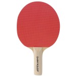 Stalo teniso raketė DUNLOP BT 10