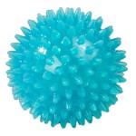 Masažinis kamuoliukas SVELTUS 9cm