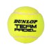Padel teniso kamuoliukai DUNLOP TEAM