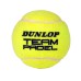 Padelio teniso kamuoliukai DUNLOP TEAM