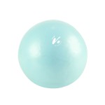 Jogos kamuolys GYMSTICK Vivid line 20cm