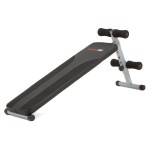 Treniruočių suolelis EVERFIT WBK-100