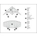Aitvaras  DRAGONFLY 51XB Stunt Kite BISE 115