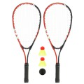 Greitojo badmintono rinkinys AVENTO