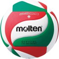 Tinklinio kamuolys MOLTEN V5M2200