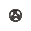 Svoris grifui TOORX DGN-TG D50mm 10kg