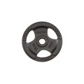 Svoris grifui TOORX DGN-TG D50mm 15kg