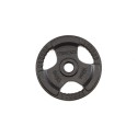 Svoris grifui TOORX DGN-TG D50mm 15kg