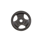 Svoris grifui TOORX DGN-TG D50mm 15kg