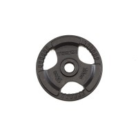Svoris grifui TOORX DGN-TG D50mm 15kg..
