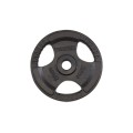 Svoris grifui TOORX DGN-TG D50mm 20kg
