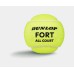 Lauko teniso kamuoliukai DUNLOP FORT ALL COURT 4vnt