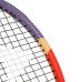 Lauko teniso raketė Dunlop TRISTORM TEAM 100 (27