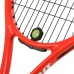 Lauko teniso raketė Dunlop TRISTORM TEAM 100 (27