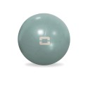 Jogos kamuolys TOORX Liveness AYP-004 25 cm