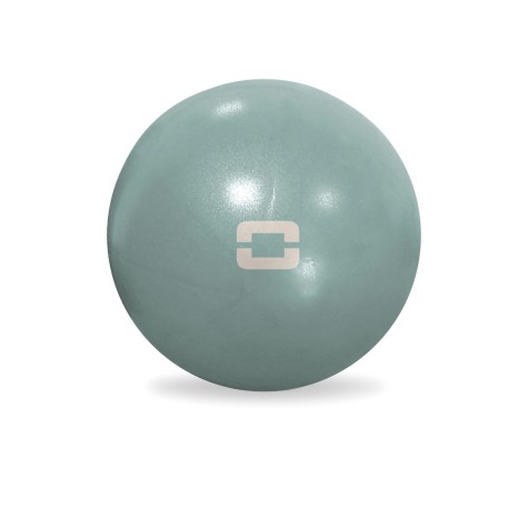 Jogos kamuolys TOORX Liveness AYP-004 25 cm