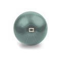 Gimnastikos kamuolys TOORX Liveness AYP-001 55cm