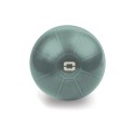 Gimnastikos kamuolys TOORX Liveness AYP-001 55cm