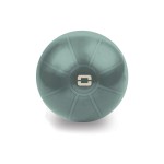 Gimnastikos kamuolys TOORX Liveness AYP-001 55cm