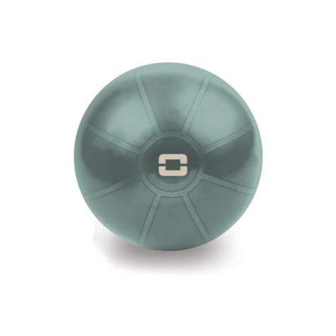 Gimnastikos kamuolys TOORX Liveness AYP-001 55cm