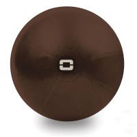 Gimnastikos kamuolys TOORX Liveness AYP-003 75cm..