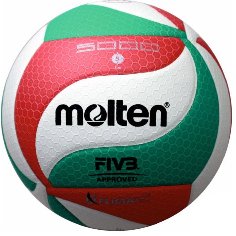 Tinklinio kamuolys MOLTEN V5M5000-X