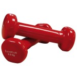 Viniliniai hanteliai SVELTUS, 2x0,5kg