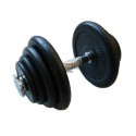 Surenkamas hantelis Prove 10kg metalas trauktas guma