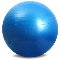 Gimnastikos kamuolys Prove Anti-burst 65cm..