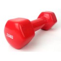 Aerobikos hantelis Prove 2,5kg (1vnt)