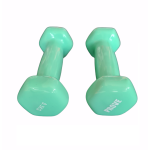 Šešiakampis aerobikos hantelis Prove 0,5kg (1vnt)