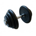 Surenkamas hantelis Prove 20kg (metaliniai gumuoti svoriai)