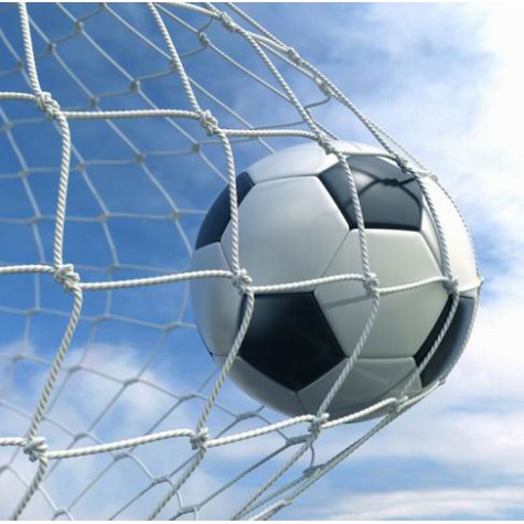 Futbolo vartų tinklas Netex 5x2x0,8x1,5m PES4mm