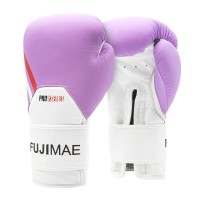 ProSeries Leather Boxing Gloves 2.0 12 OZ..