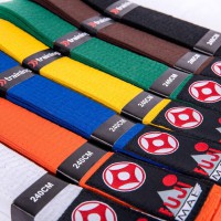 Kyokushin Belt..