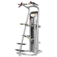 Chin-Dip Assist Prove Smart (100kg)..