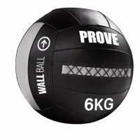 Wall ball kamuolys Prove MAX 6kg..