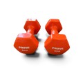 Aerobikos hantelis Prove 6kg (1vnt)
