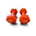 Aerobikos hantelis Prove 6kg (1vnt)