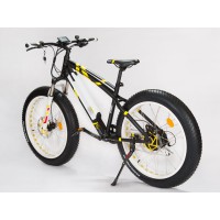 Dviratis GEOBIKE Big Apple S 26“-10.4Ah..