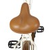 Dviratis AZIMUT City Lux 26" 2021 su krepšeliu cream-brown