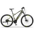 Elektrinis dviratis Ecobike SX 300 29“ 48V green-14Ah(LG)