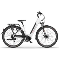 Elektrinis dviratis Ecobike LX 300 28“ 48V-10.Ah..