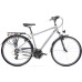 Dviratis Romet Wagant 28“ 2023 silver-gold-21“ / L