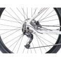 Dviratis Romet Rambler R9.3 29" LTD 2023 white-gold-20" / L