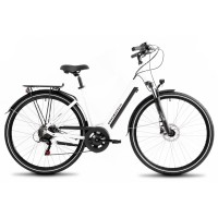 Elektrinis dviratis ProEco Wave AN 1.0 R 504Wh white-black-19