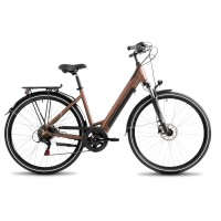 Elektrinis dviratis ProEco Wave AN 1.0 R 504Wh brown-black-19